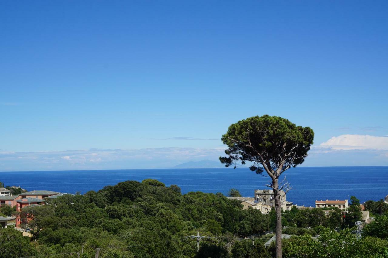 Suites In Erbalunga Erbalunga  Εξωτερικό φωτογραφία