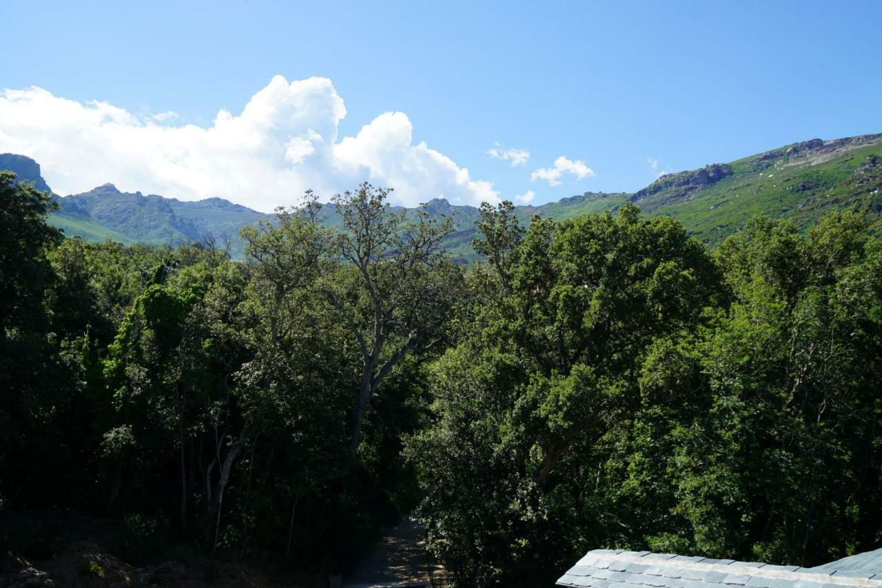 Suites In Erbalunga Erbalunga  Εξωτερικό φωτογραφία
