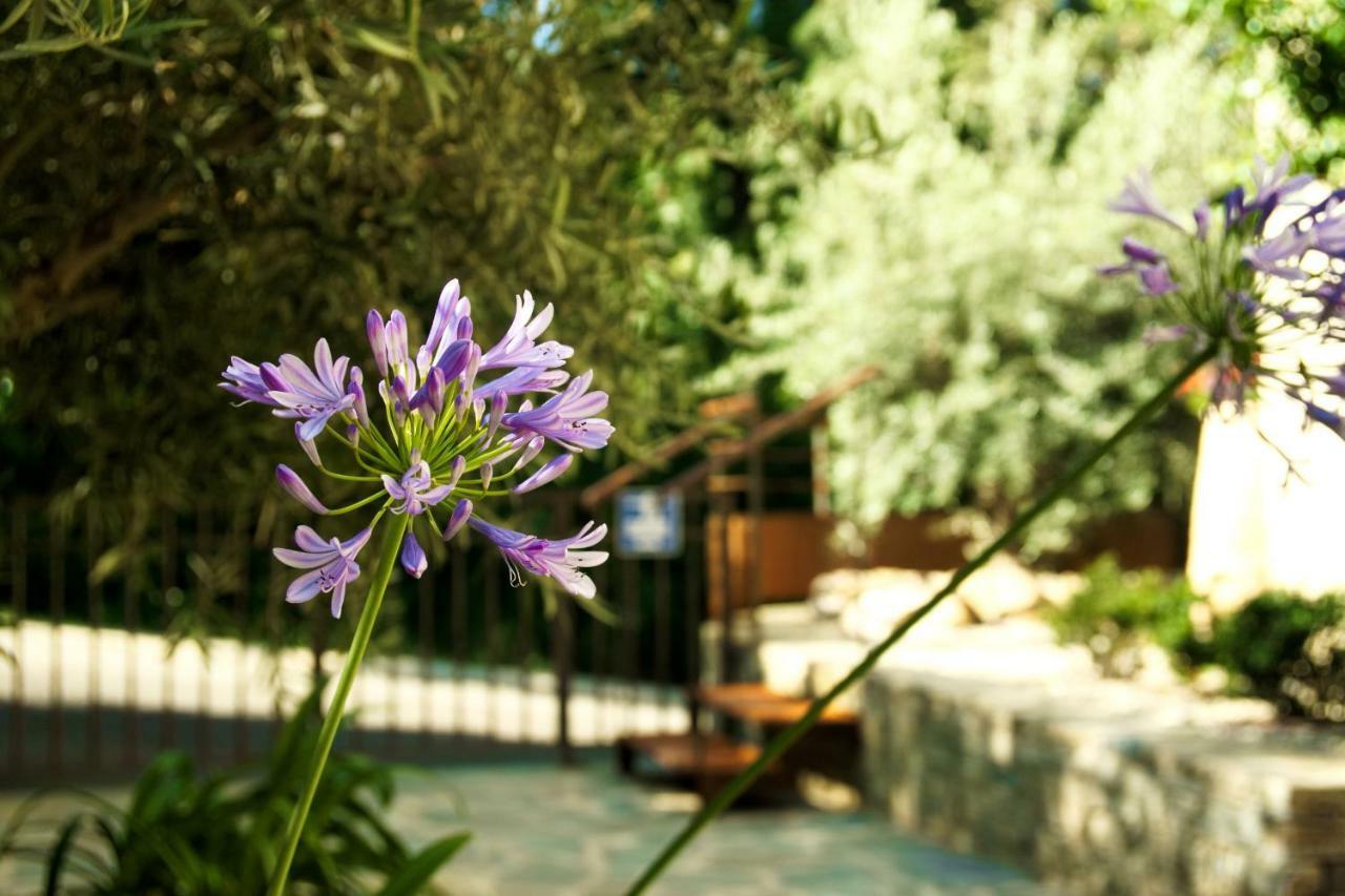 Suites In Erbalunga Erbalunga  Εξωτερικό φωτογραφία